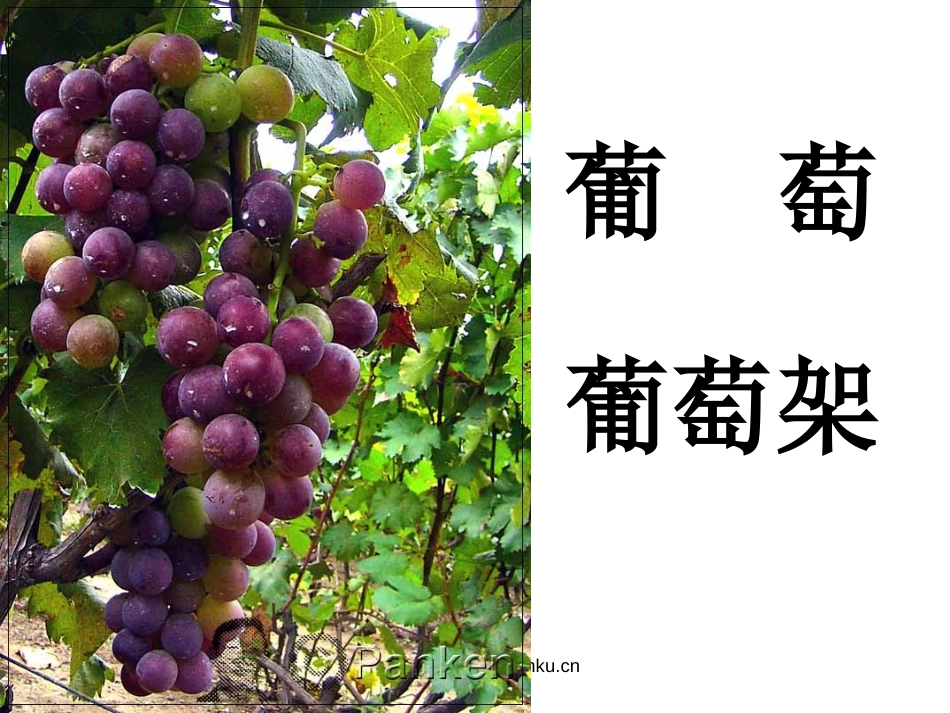 北师大版一年级语文对韵歌PPT教学课件_第2页