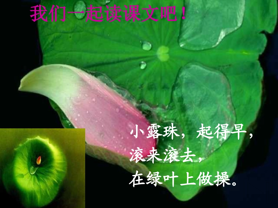 北师大版一年级语文早操ppt教学课件_第3页
