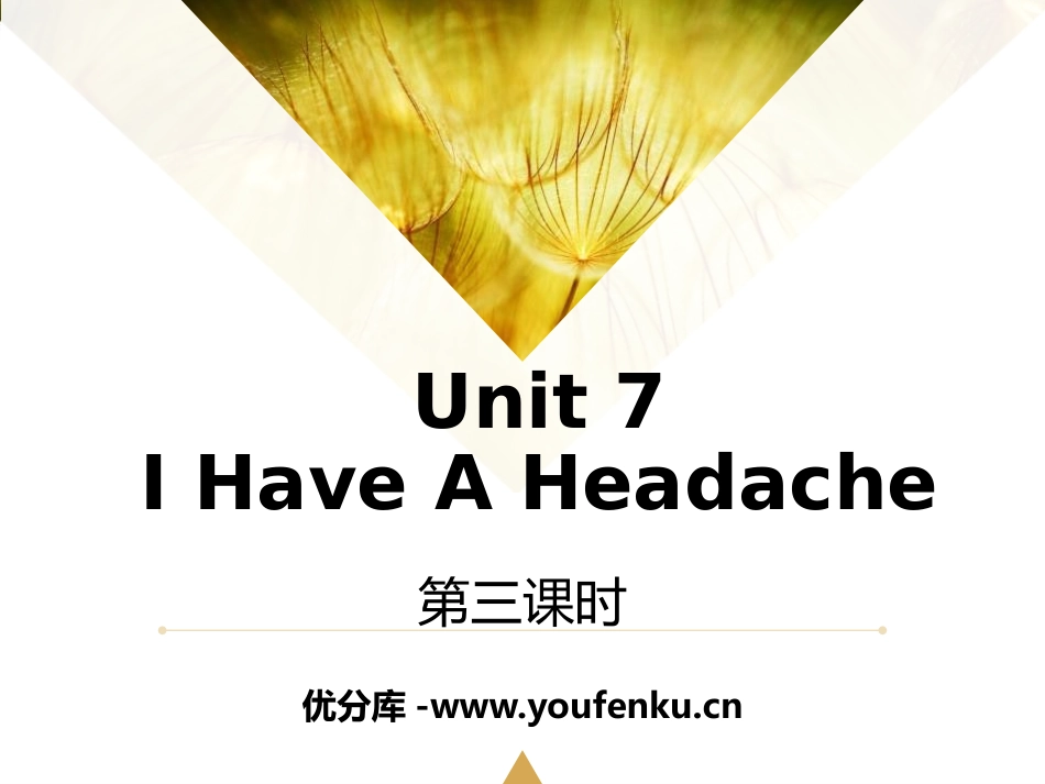 《I Have a Headache》PPT课件_第1页