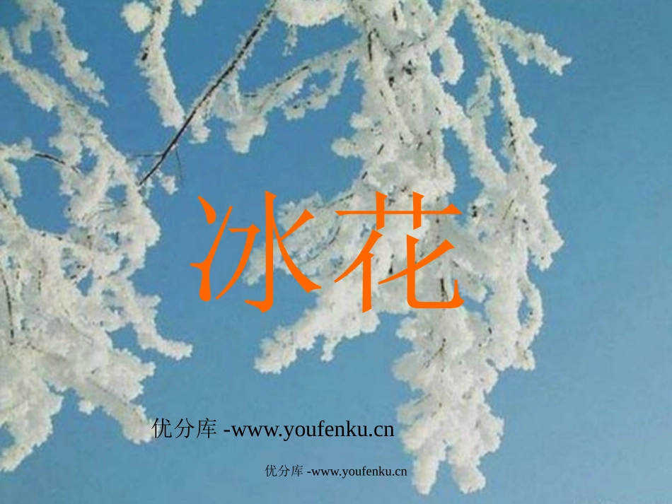 苏教版一年级语文冰花PPT教学课件_第1页
