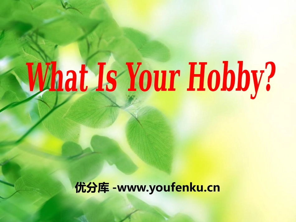 《What's your hobby?》PPT课件_第1页