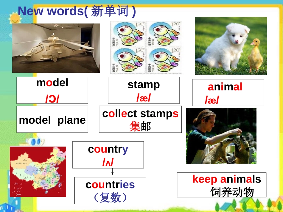 《What's your hobby?》PPT课件_第2页
