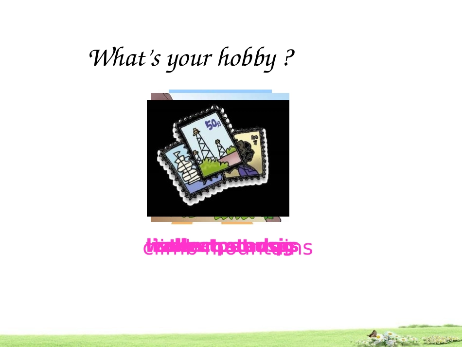 《What's your hobby?》SectionA PPT课件_第2页