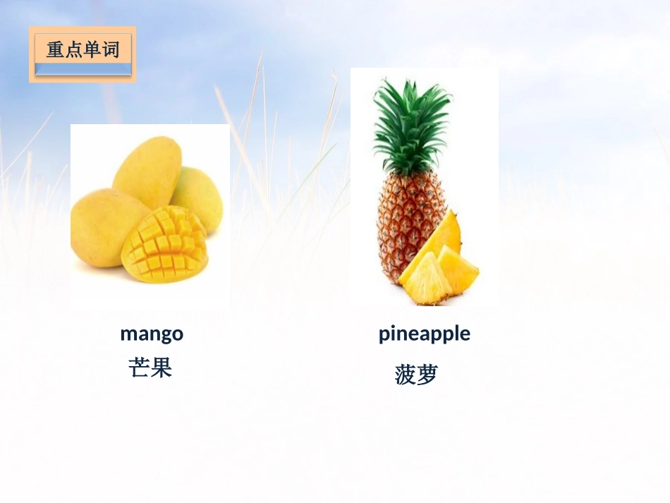 《Let's make a fruit salad》基础知识PPT课件_第3页