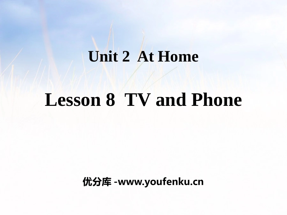 《TV and Phone》At Home PPT教学课件_第1页