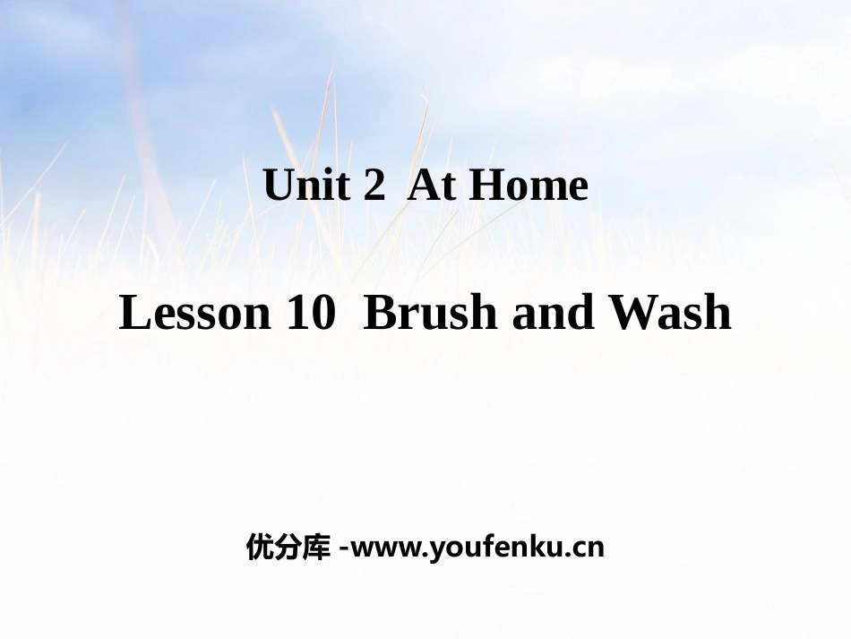 《Brush and Wash》At Home PPT课件_第1页