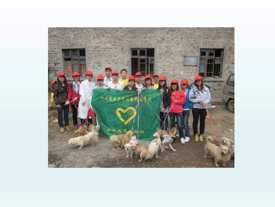 《Volunteering in Summer》Summer Holiday Is Coming! PPT课件_第3页