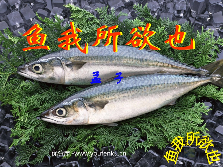 《鱼我所欲也》PPT课件[部编版九年级语文下册]_第1页