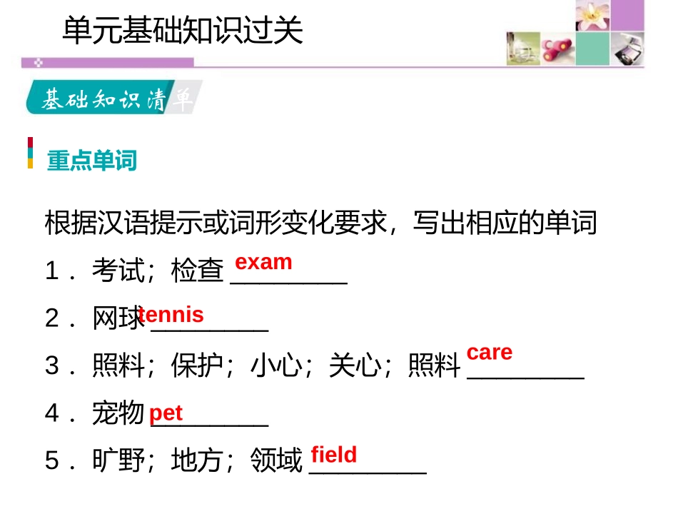 《单元基础知识过关》Summer Holiday Is Coming! PPT课件_第2页
