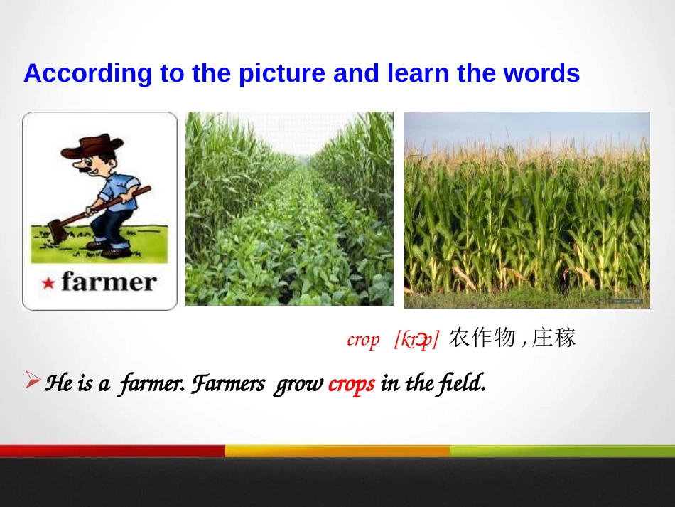 《Rich or Poor?It Doesn't Matter!》My Future PPT教学课件_第3页
