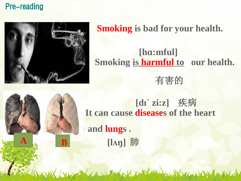 《Don't Smoke,Please!》Stay healthy PPT课件_第2页