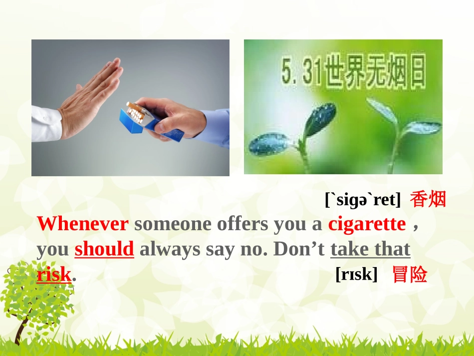 《Don't Smoke,Please!》Stay healthy PPT课件_第3页