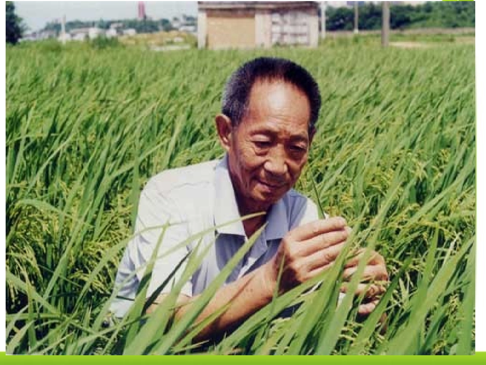 《China's Most Famous ＂Farmer＂》Great People PPT课件_第2页