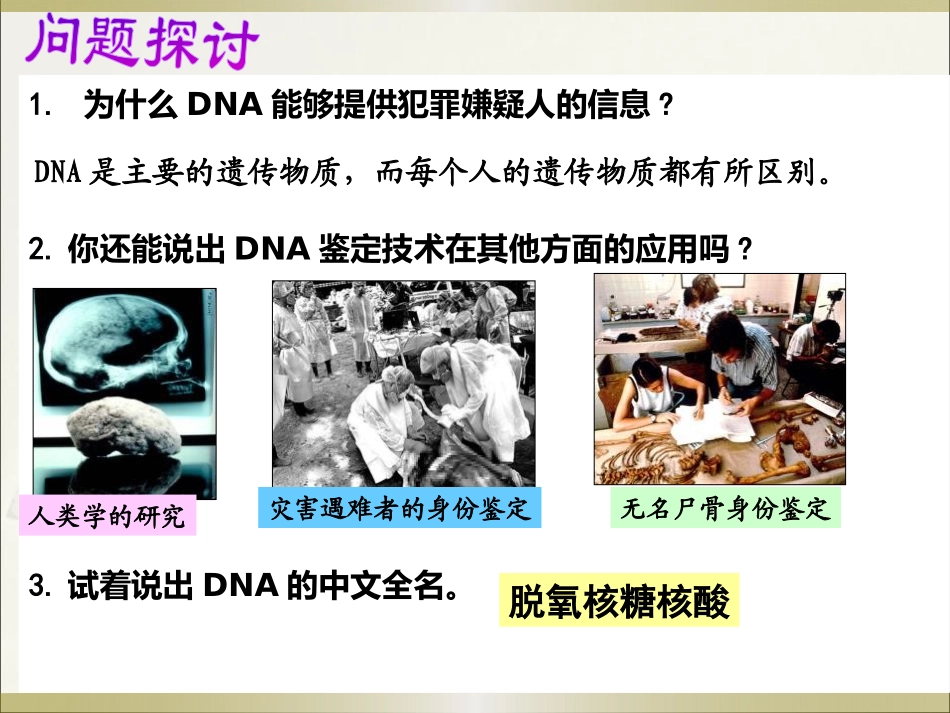 《核酸是遗传信息的携带者》组成细胞的分子PPT课件_第3页