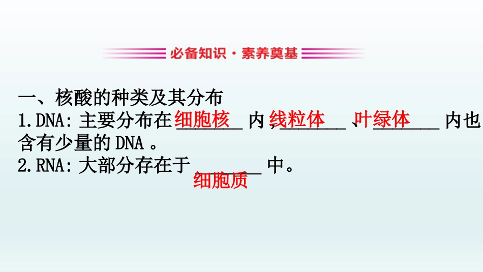 《核酸是遗传信息的携带者》组成细胞的分子PPT课件_第3页