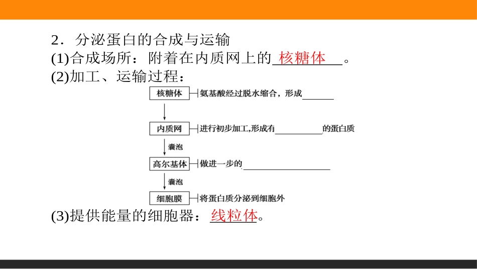 《细胞器之间的分工合作》细胞的基本结构PPT课件(第二课时)_第3页