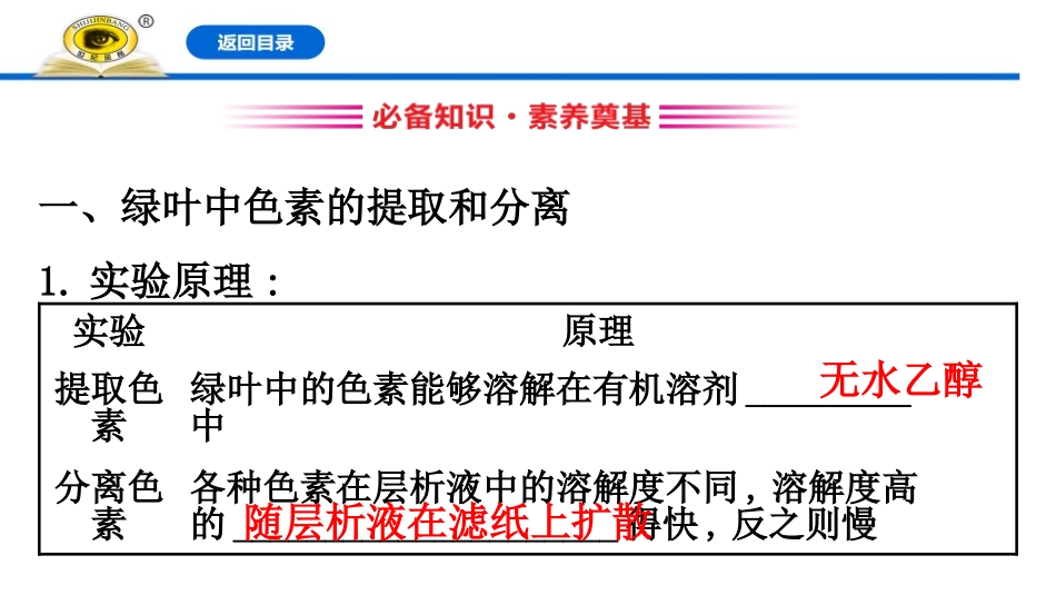 《光合作用与能量转化》细胞的能量供应和利用PPT课件_第3页