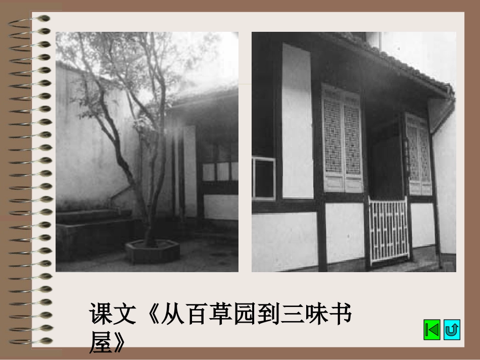 《孔乙己》PPT课件[苏教版八年级语文下册]_第3页