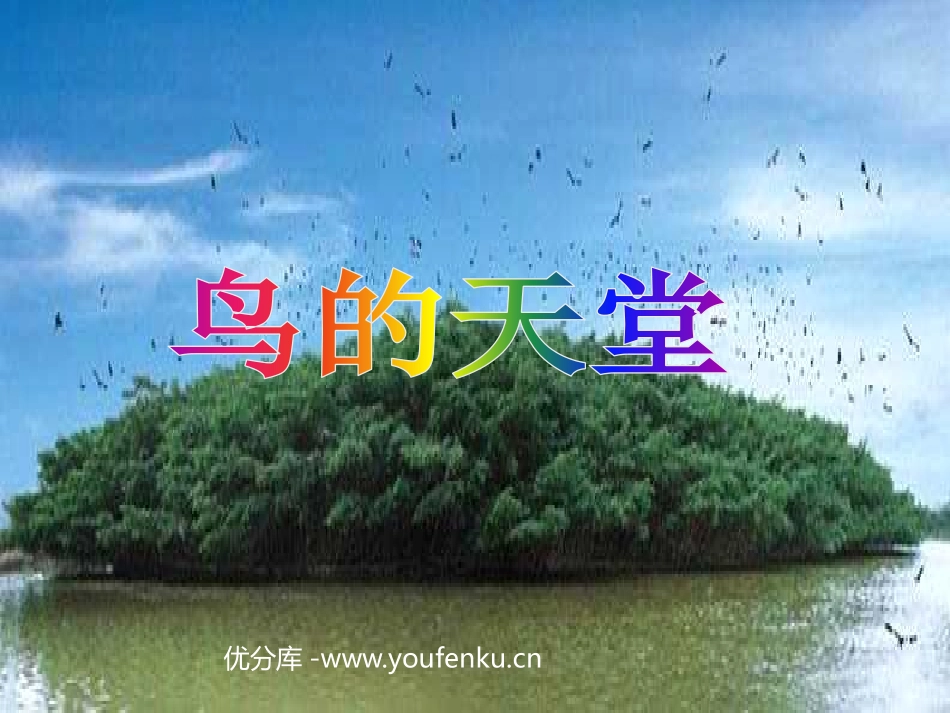 《鸟的天堂》PPT教学课件[部编版四年级语文上册]_第1页