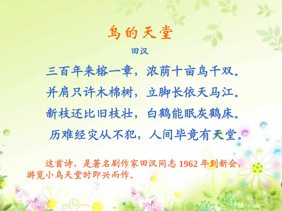 《鸟的天堂》PPT教学课件[部编版四年级语文上册]_第2页