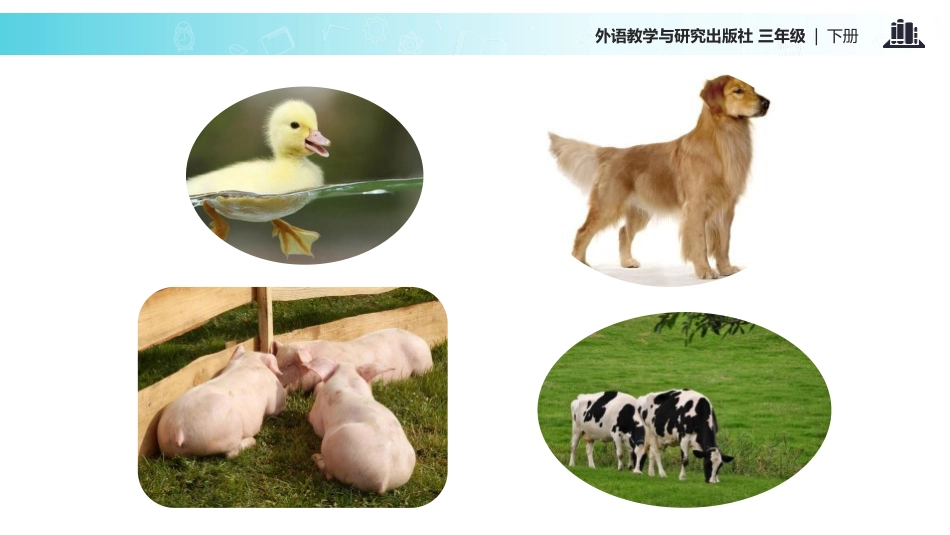 《We'll go to the zoo》PPT教学课件_第3页