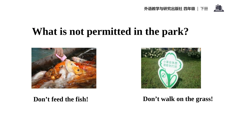 《Don't feed the fish》PPT教学课件_第3页