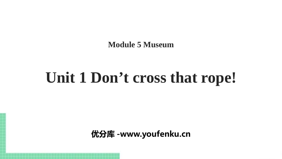 《Don't cross that rope》Museums PPT课件_第1页