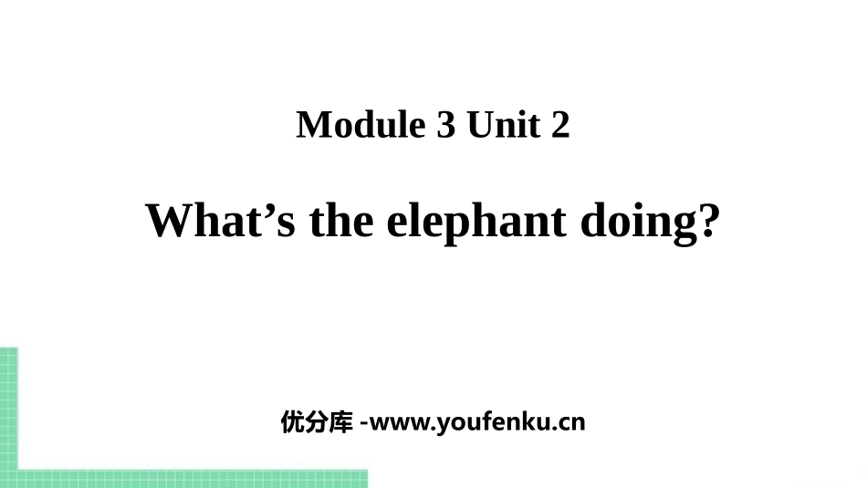《What's the elephant doing?》PPT课件_第1页