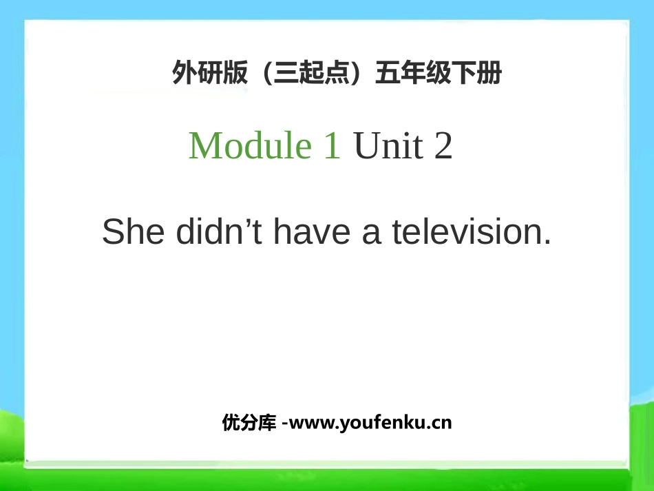 《She didn't have a television》PPT课件_第1页