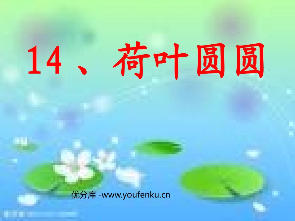 《荷叶圆圆》PPT课件[部编版一年级语文下册]_第1页