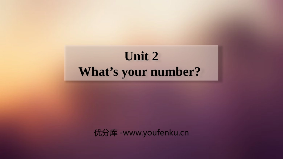 《What's your number?》PPT课件_第1页