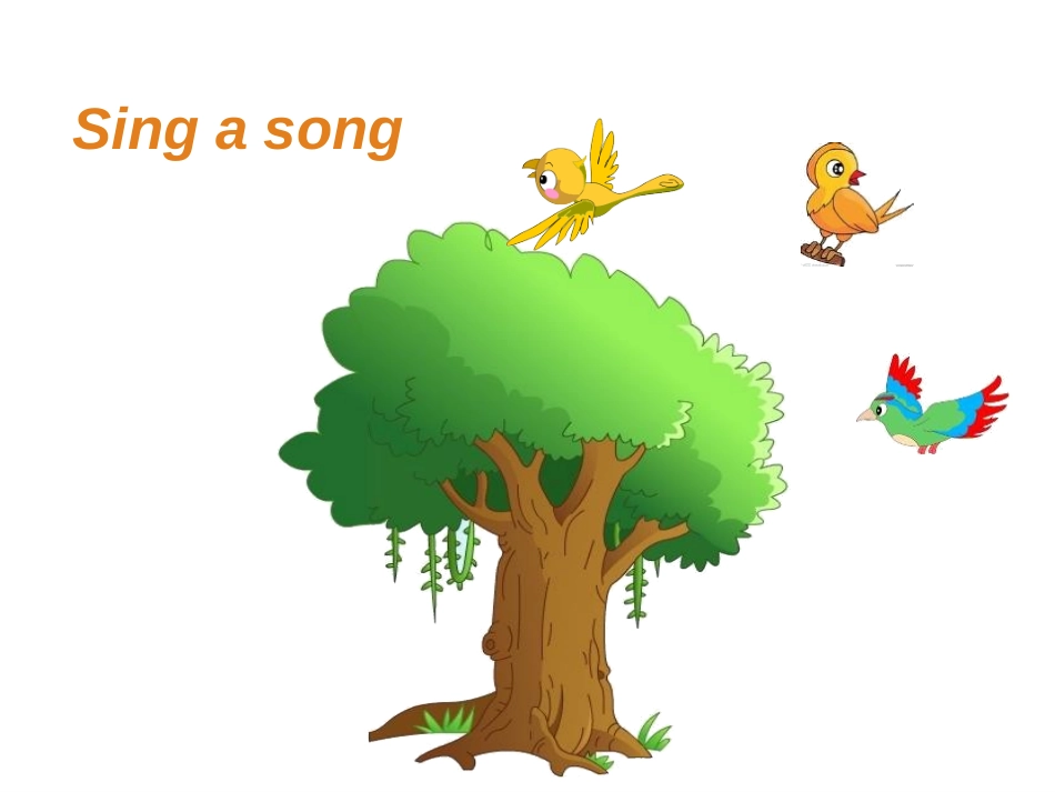 《Where's the bird?》PPT课件_第2页