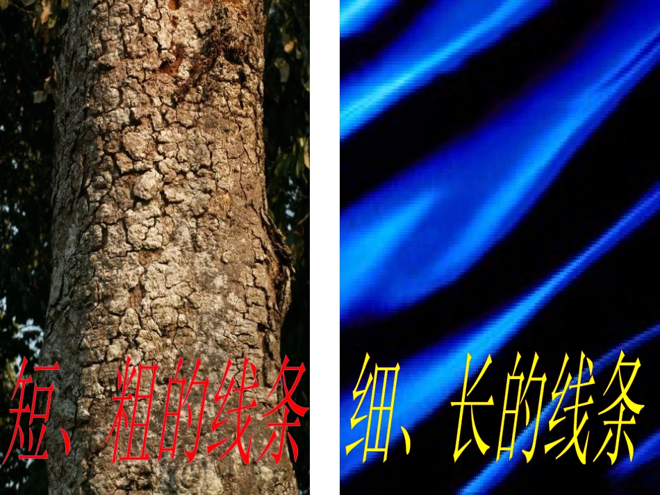 《摸一摸、画一画》PPT课件[一年级美术下册]_第2页
