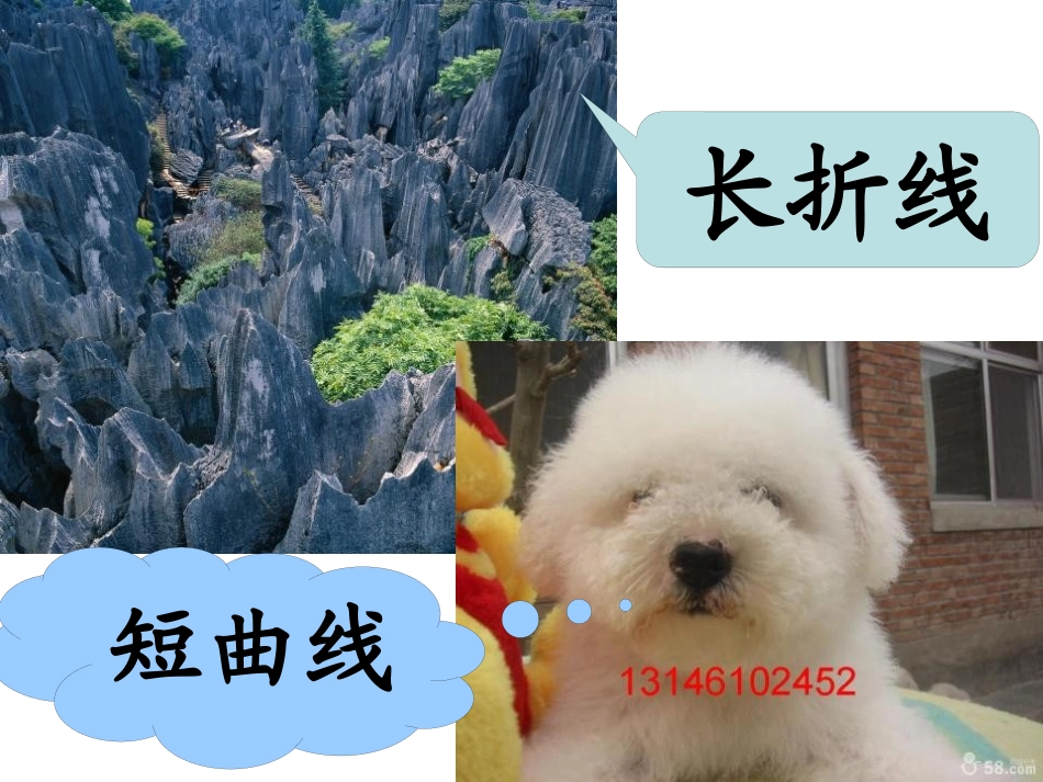 《摸一摸、画一画》PPT课件[一年级美术下册]_第3页