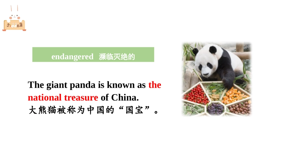 《What's the highest mountain in the world?》SectionB PPT课件_第3页