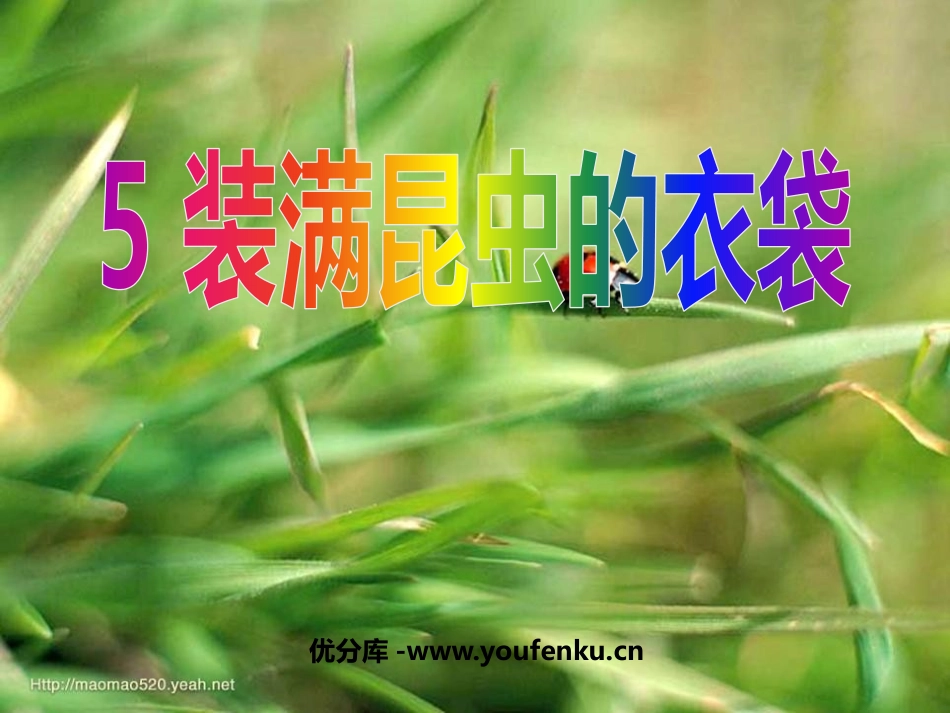《装满昆虫的衣袋》PPT课件[苏教版五年级语文上册]_第1页