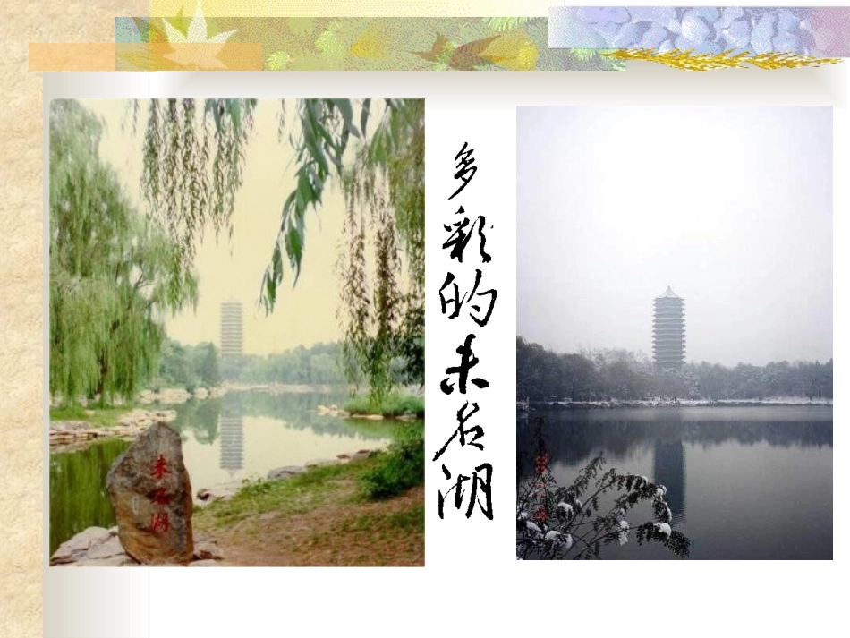 《十三岁的际遇》PPT课件[苏教版七年级语文上册]_第3页
