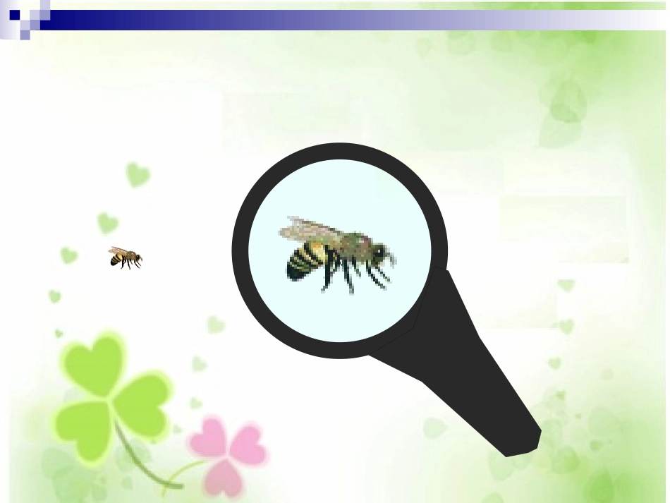《图形的放大与缩小》图形的变换和确定位置PPT课件_第2页